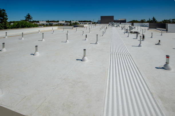 Best Roof Coating and Sealing  in New Madrid, MO